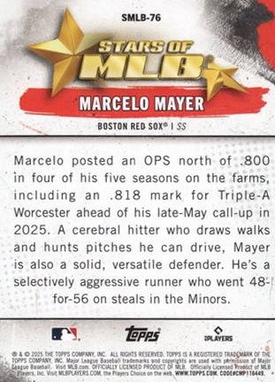 Marcelo Mayer back